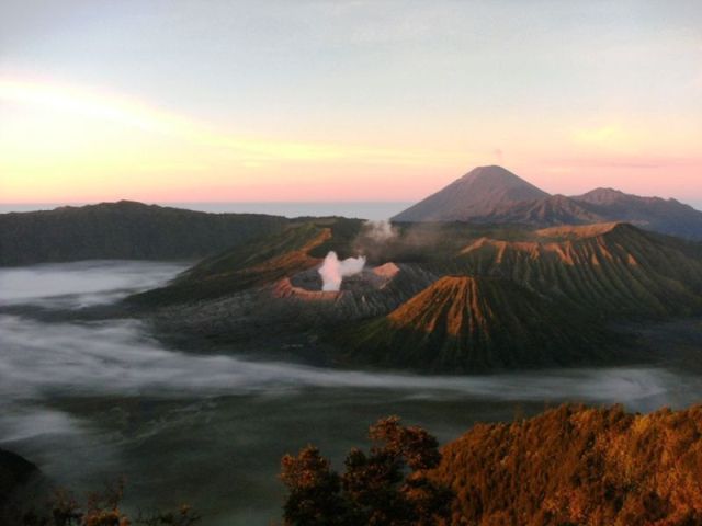 bromo