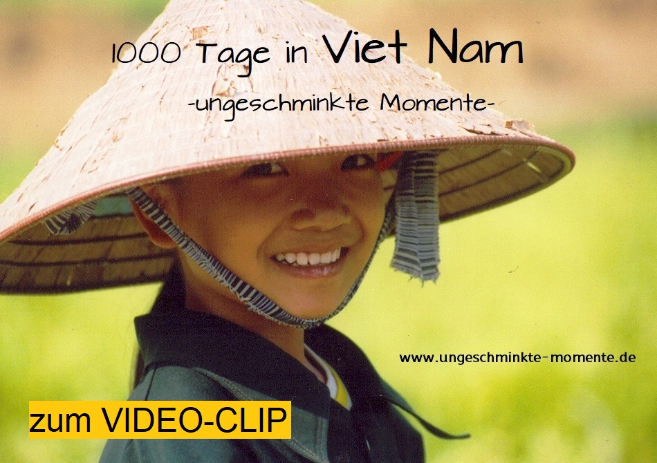VN Logo